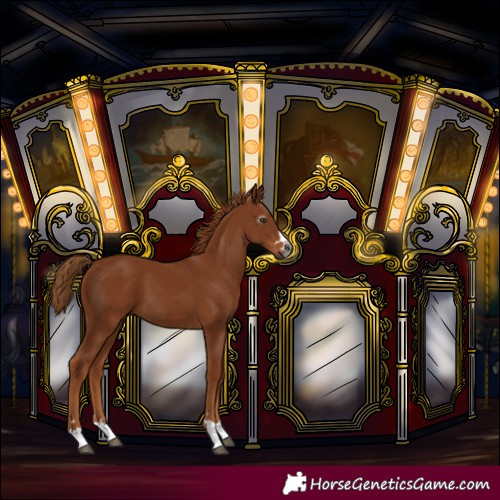 Horse Color:Unknown 
