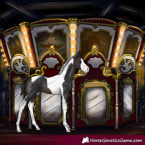 Horse Color:Brown Splash Tobiano Snowflake VarnishRabicano