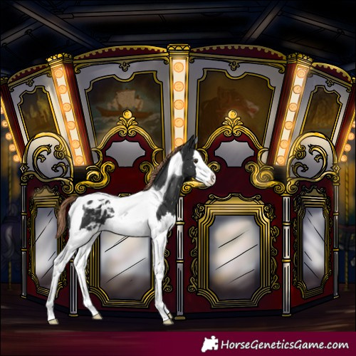 Horse Color:Liver Chestnut Splash Tobiano Blanket