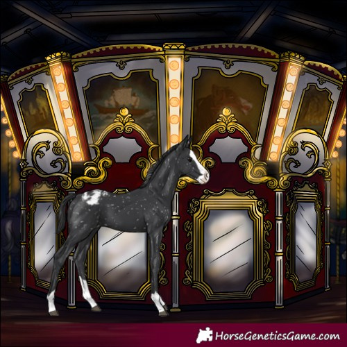 Horse Color:Black Splash Blanket 