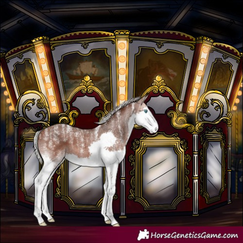 Horse Color:Powder White Silver Brown Sabino Splash 