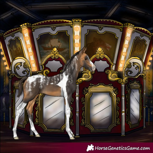 Horse Color:Powder White Buckskin Tobiano