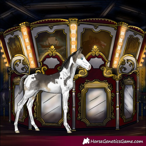 Horse Color:Buckskin Splash Tobiano