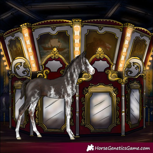 Horse Color:White Spotted Liver Chestnut 