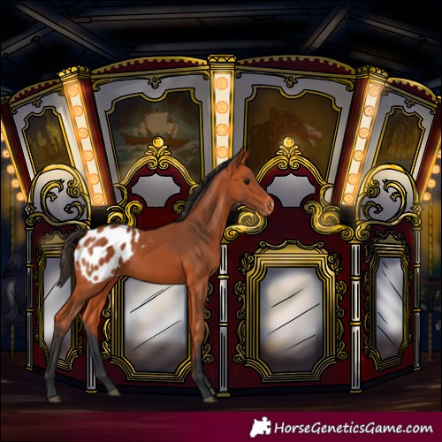 Horse Color:Bay Blanket Rabicano 