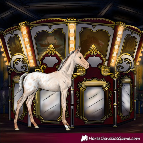 Horse Color:Silver Amber Champagne Roan Blanket Rabicano 