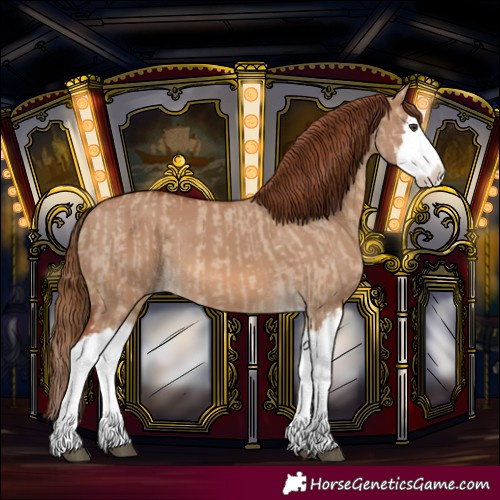 Horse Color:Red Dun Splash and Red Dun Splash Rabicano