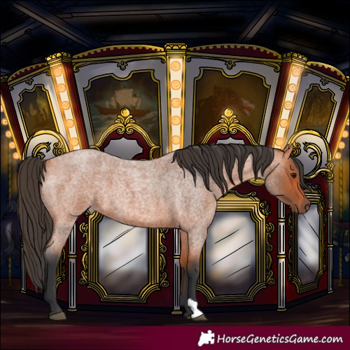 Horse Color:Bay Roan 