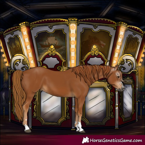 Horse Color:Gray Chestnut