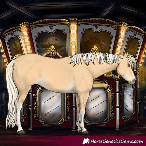 Horse Color:Palomino 