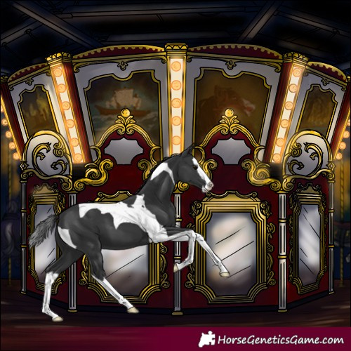 Horse Color:Black Splash Tobiano 