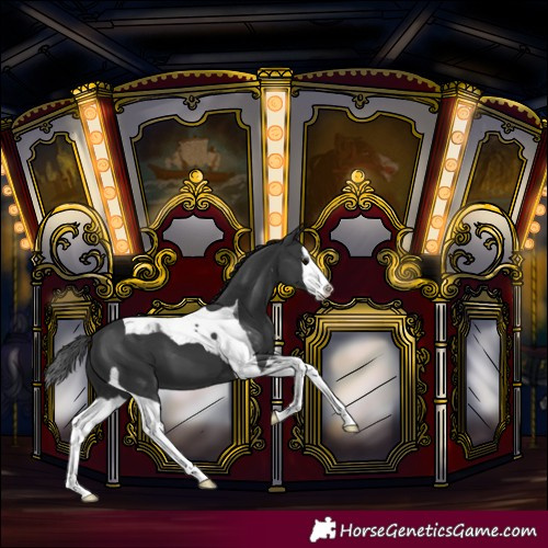 Horse Color:Black Splash Tobiano 