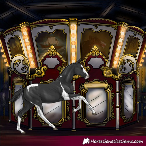 Horse Color:Black Splash Tobiano 