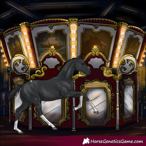 Horse Color:Black Tobiano