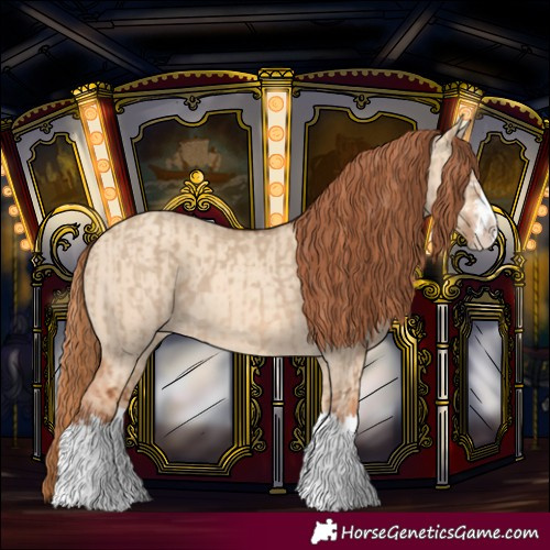Horse Color:Red Dun Splash  and Gold Champagne Dun Splash 