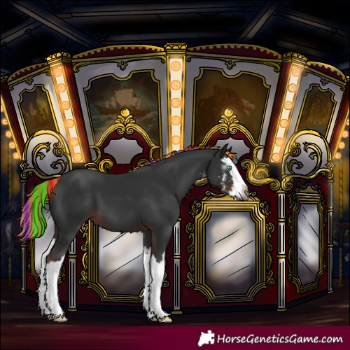 Horse Color:Gray Painted Liver Chestnut Sabino Splash 
