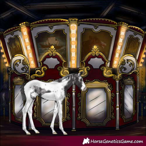Horse Color:Powder White Smoky Black Tobiano Frame
