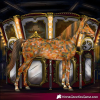 Horse Color:Buckskin Tobiano