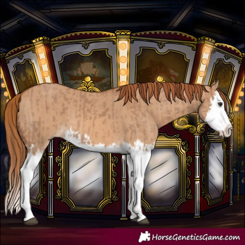 Horse Color:Red Dun Splash  and Red Dun Splash 