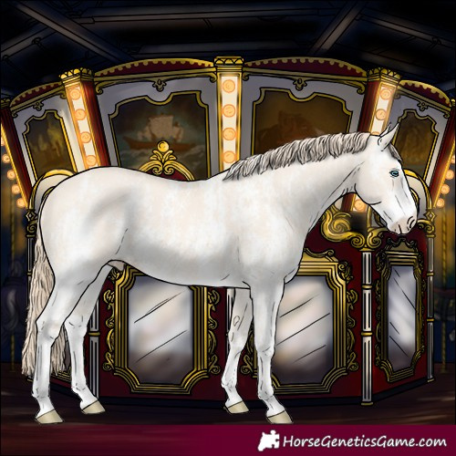 Horse Color:Unknown 