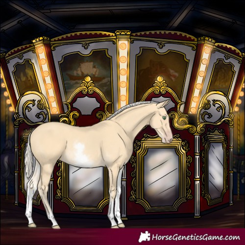 Horse Color:White Spotted Gold Cream Champagne