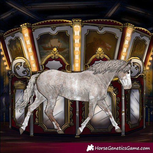 Horse Color:Silver Blue Roan Sabino 