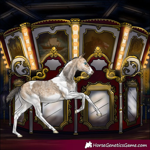 Horse Color:White Spotted Buckskin Tobiano Frame