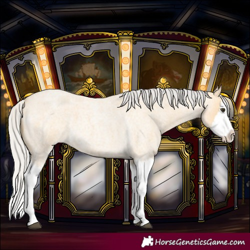 Horse Color:Silver Buckskin Roan Splash