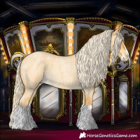 Horse Color:Palomino Roan Dun Splash 
