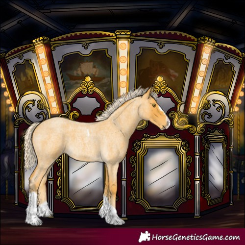 Horse Color:Palomino Roan Splash Tobiano 