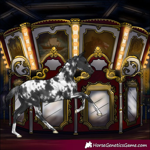 Horse Color:White Spotted Black