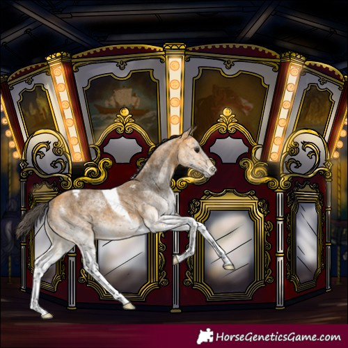 Horse Color:White Spotted Buckskin Tobiano