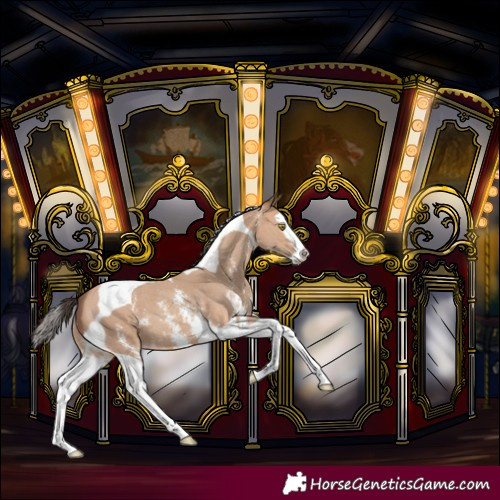 Horse Color:Amber Champagne Sabino Splash Tobiano 