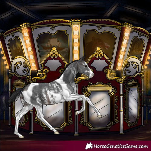 Horse Color:Brown Sabino Tobiano