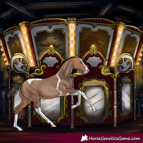 Horse Color:Amber Champagne Splash Tobiano Rabicano 