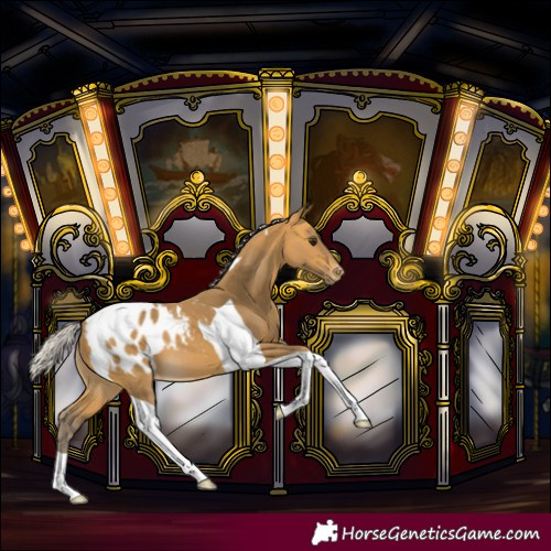Horse Color:Silver Buckskin Tobiano Blanket 