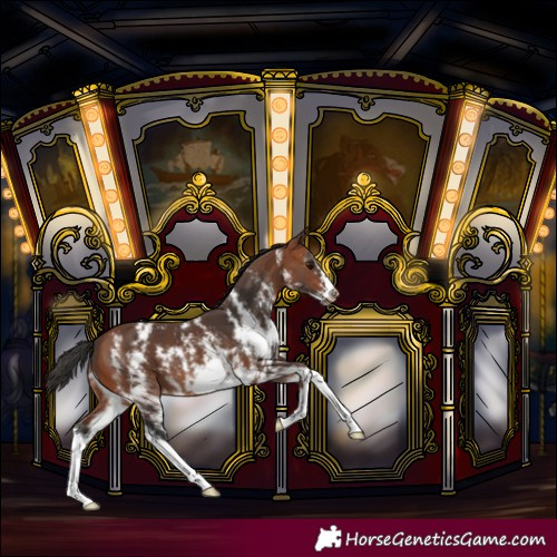 Horse Color:Bay Sabino Splash Frame Varnish Rabicano