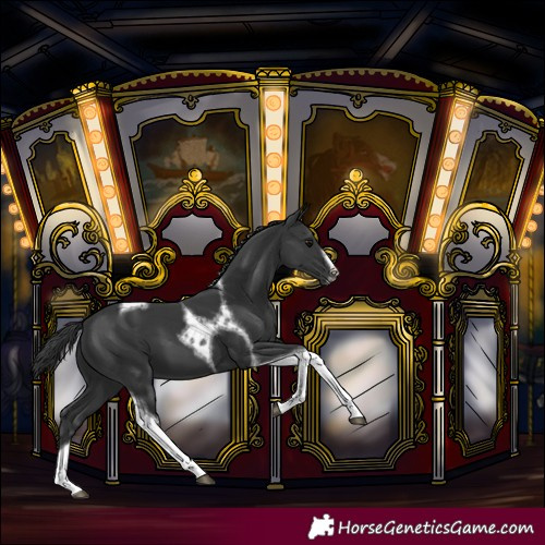 Horse Color:Black Tobiano Frame 