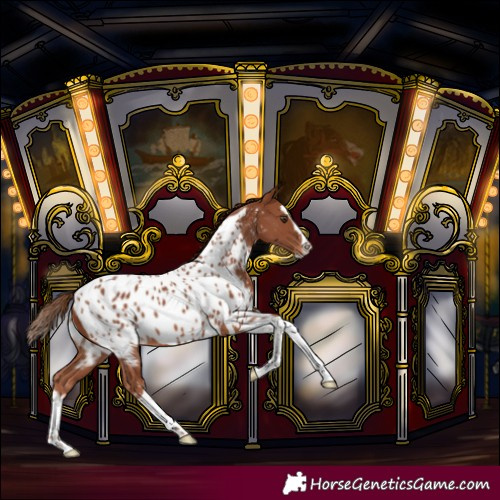 Horse Color:Chestnut Sabino Splash Tobiano Near Leopard