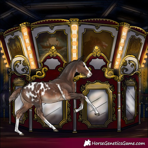 Horse Color:Liver Chestnut Sabino Splash Blanket 