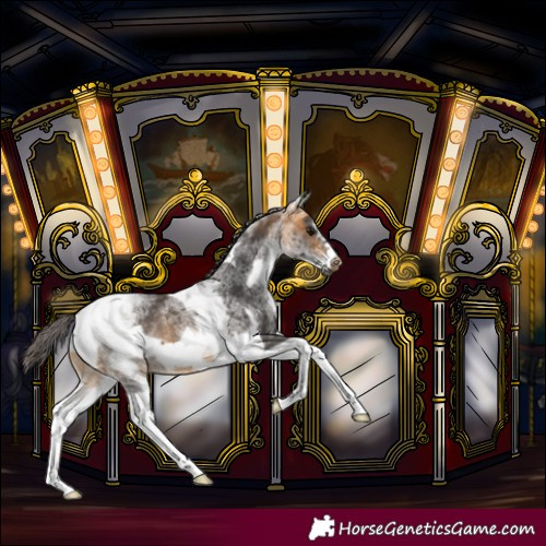 Horse Color:White Spotted Buckskin Tobiano Frame