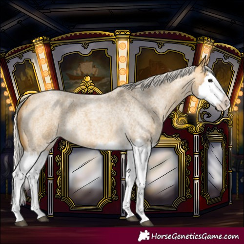 Horse Color:Silver Buckskin Roan Splash