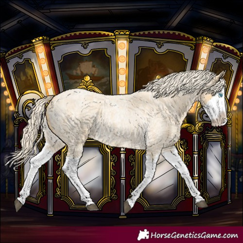 Horse Color:Palomino Roan Splash