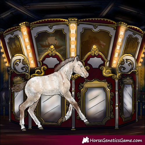 Horse Color:Powder White White Spotted Brown Pearl Dun 