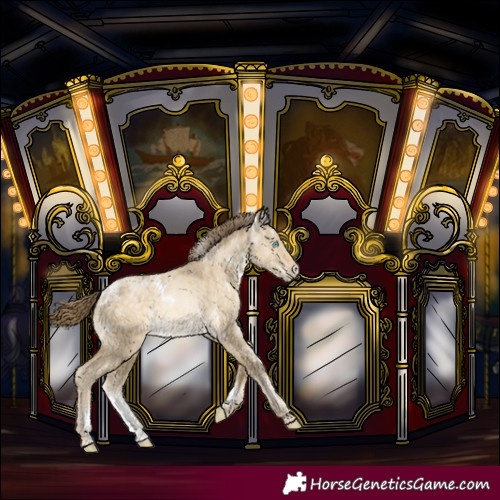 Horse Color:Powder White White Spotted Buckskin Pearl Dun 