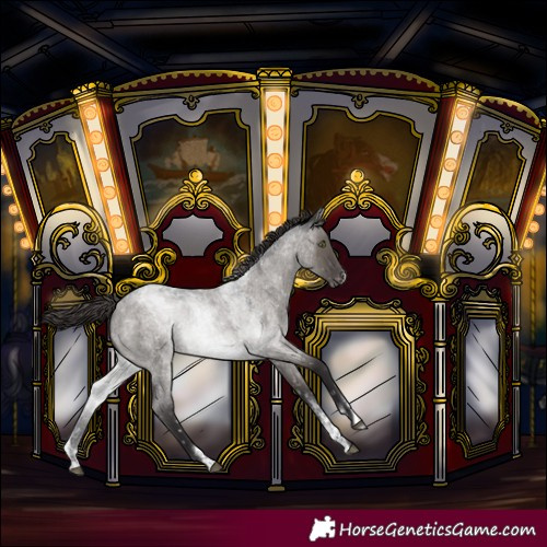 Horse Color:Powder White Smoky Grullo Roan Snowflake Varnish 