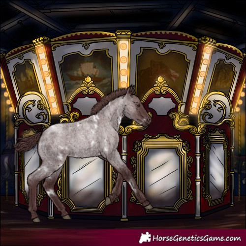 Horse Color:White Spotted Chocolate Blue Roan 