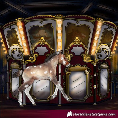 Horse Color:Bay Onyx Tobiano Rabicano