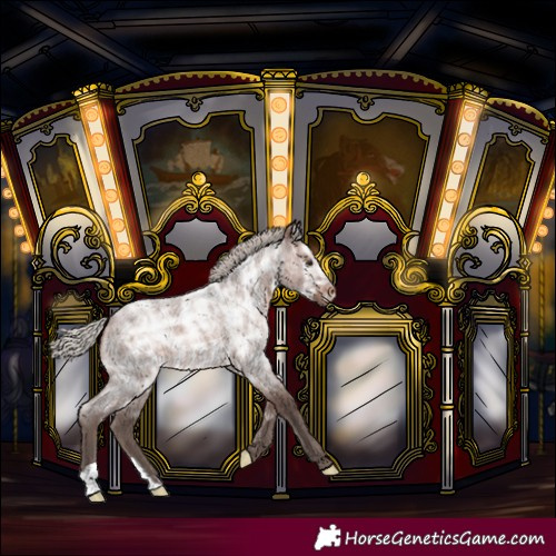Horse Color:Silver Brown Ice Roan