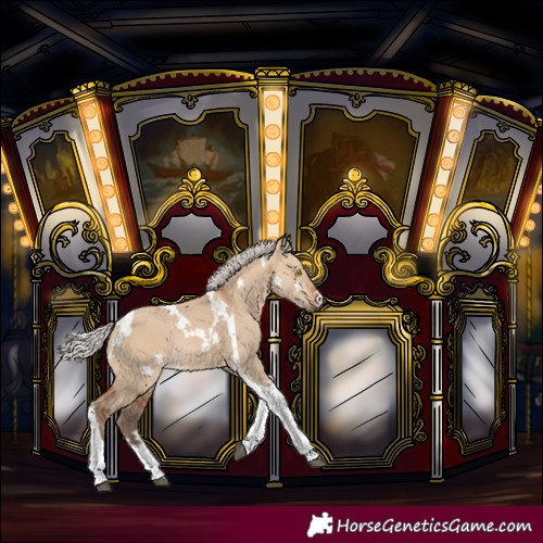 Horse Color:Silver Bay Dun Tobiano Rabicano